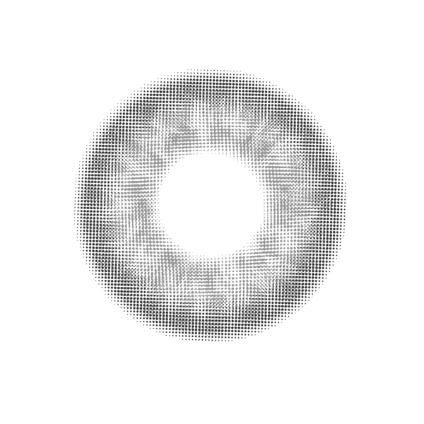 US Beauty Lenses - Gray San Francisco